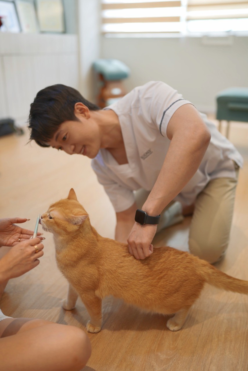 Dr Daniel providing animal chiropractic care