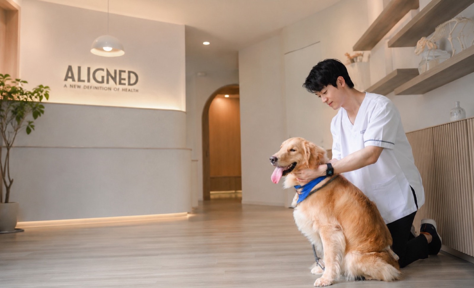 Gentle animal chiropractic care at Aligned