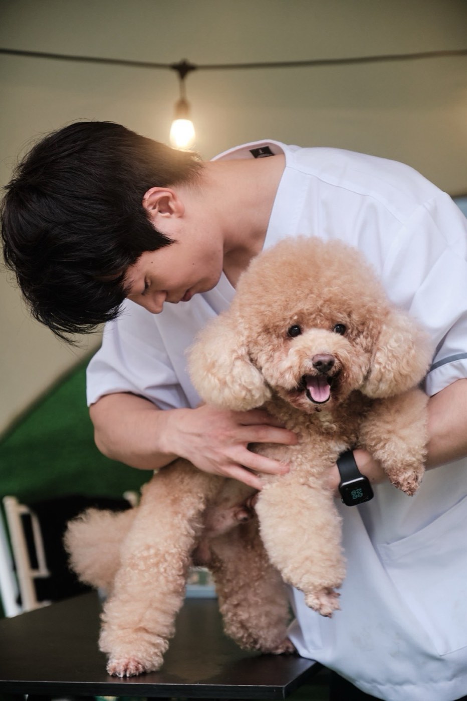 A calm pet receiving gentle chiropractic care