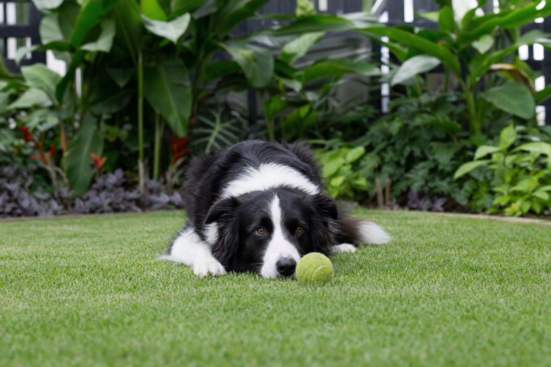 Slower at play