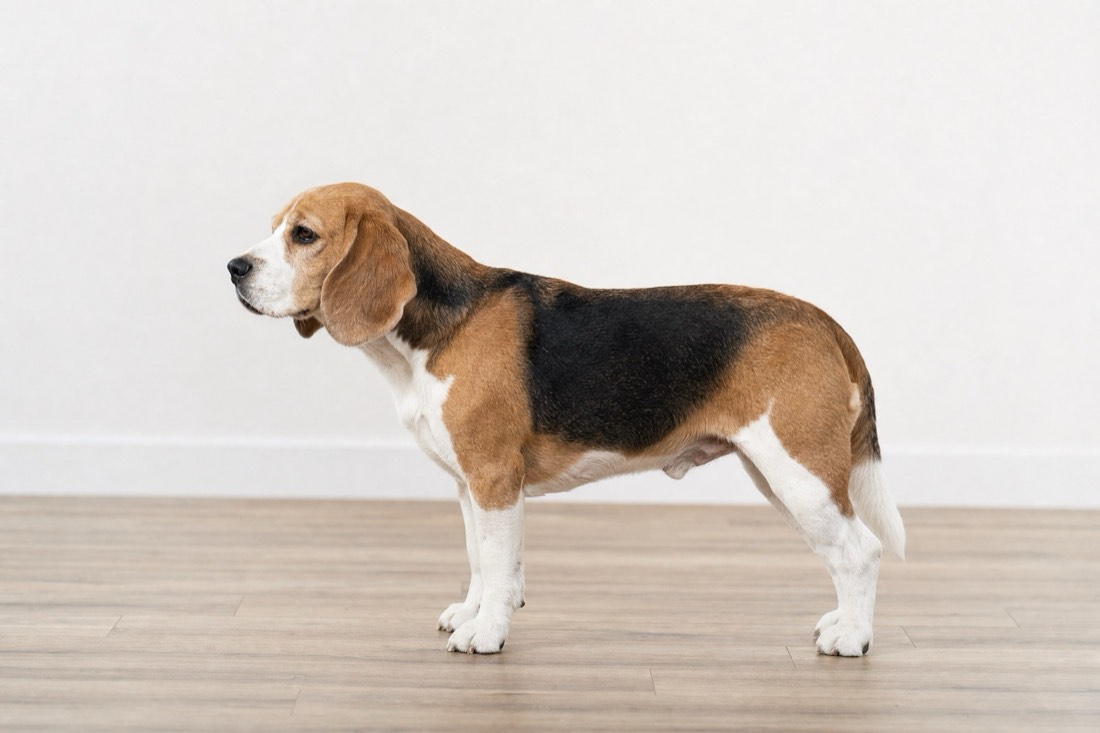 Changes in posture